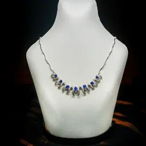 Gem Studded Neckless