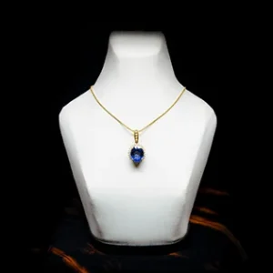 Gem Studded Neckless