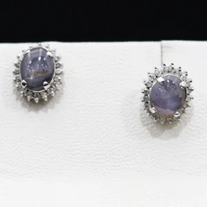 Gem Studded Earring